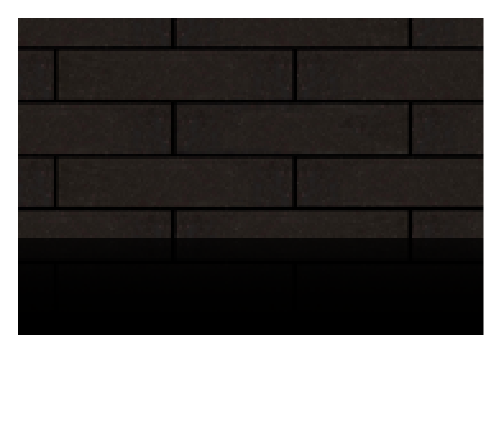 Negro Zanzarote