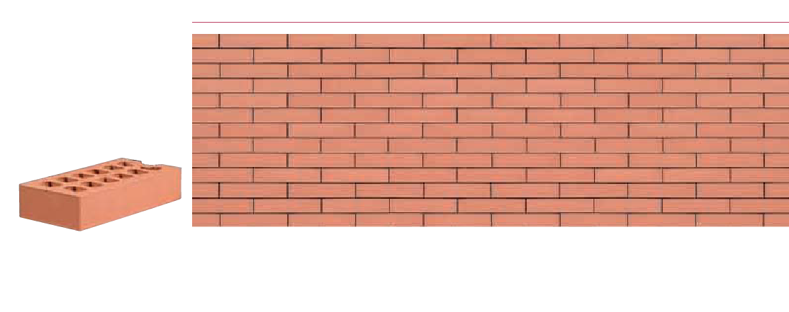 Salmón
